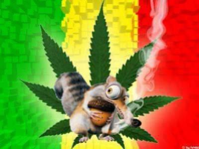 senegal